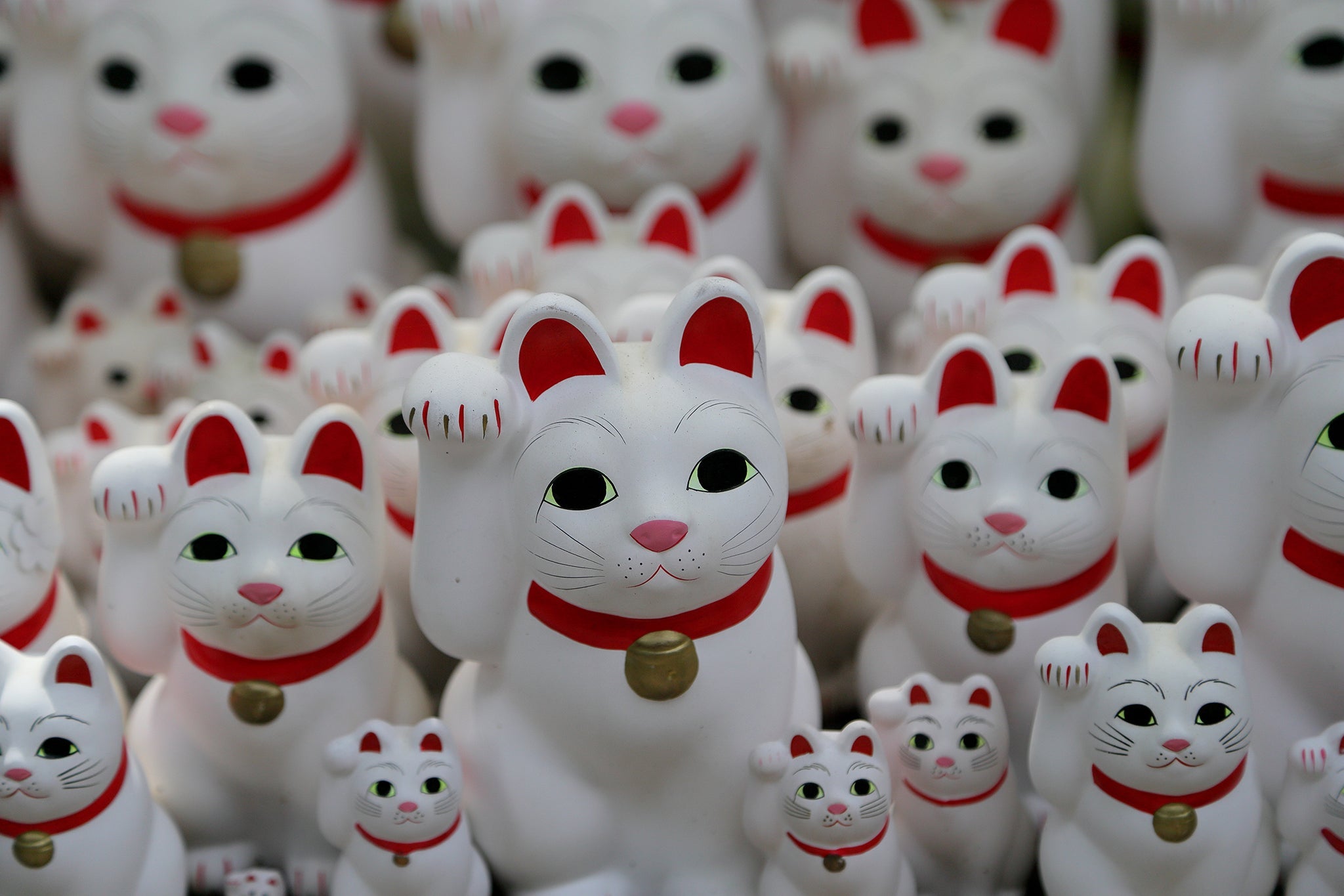 招き猫 — The Lucky Cat - The Wabi Sabi Shop
