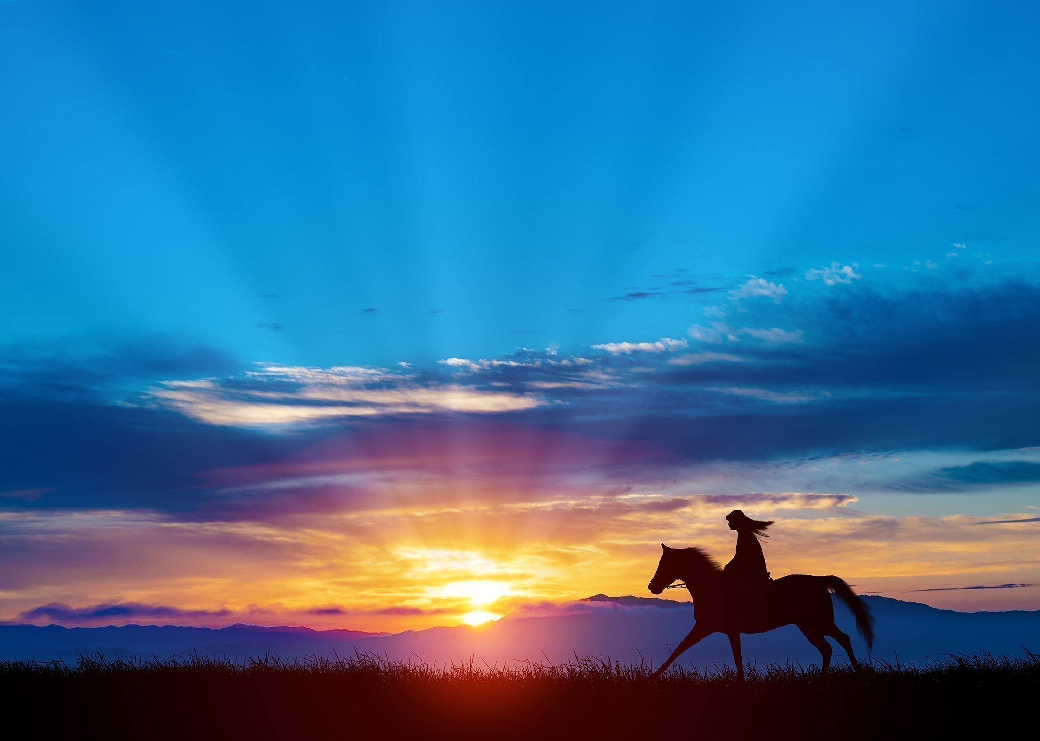 丙午 — The Year of the Fire Horse, A Year Meant to Move - The Wabi Sabi Shop