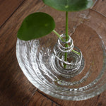 Modern spiral metal flower holder securing a single stem with round green leaves in a textured glass bowl, placed on a warm wooden surface, highlighting minimalist Japanese floral design and contemporary ikebana aesthetics. 