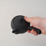 Nankei Apricot Kyusu Teapot — Black Clay 320ml